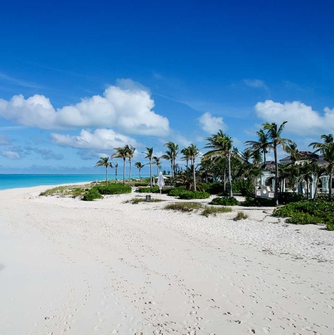 A Dream Wedding in<br>Turks and Caicos